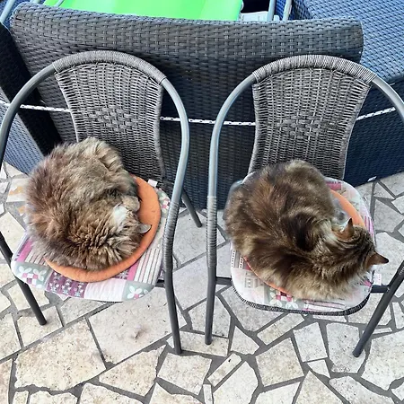Ivan&anka * Selce